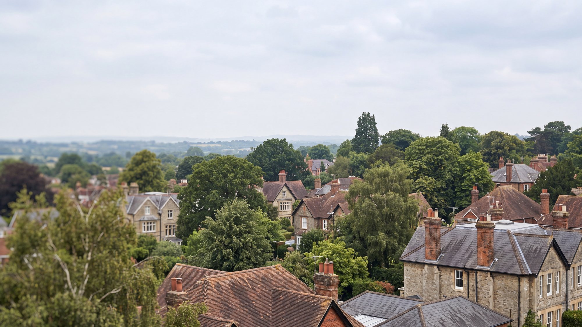 An elevated view across the rooftops of a leafy Surrey town